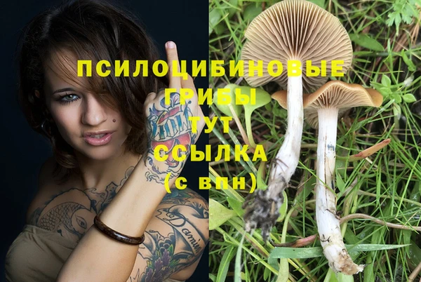 ешки Михайловск