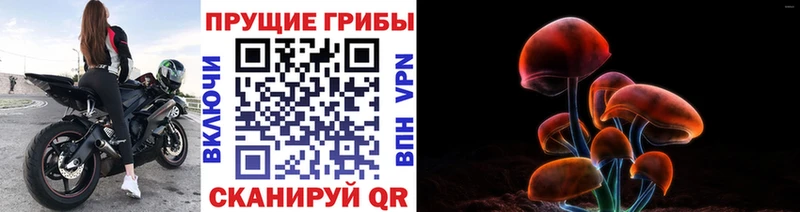 Псилоцибиновые грибы MAGIC MUSHROOMS  даркнет сайт  Клинцы 